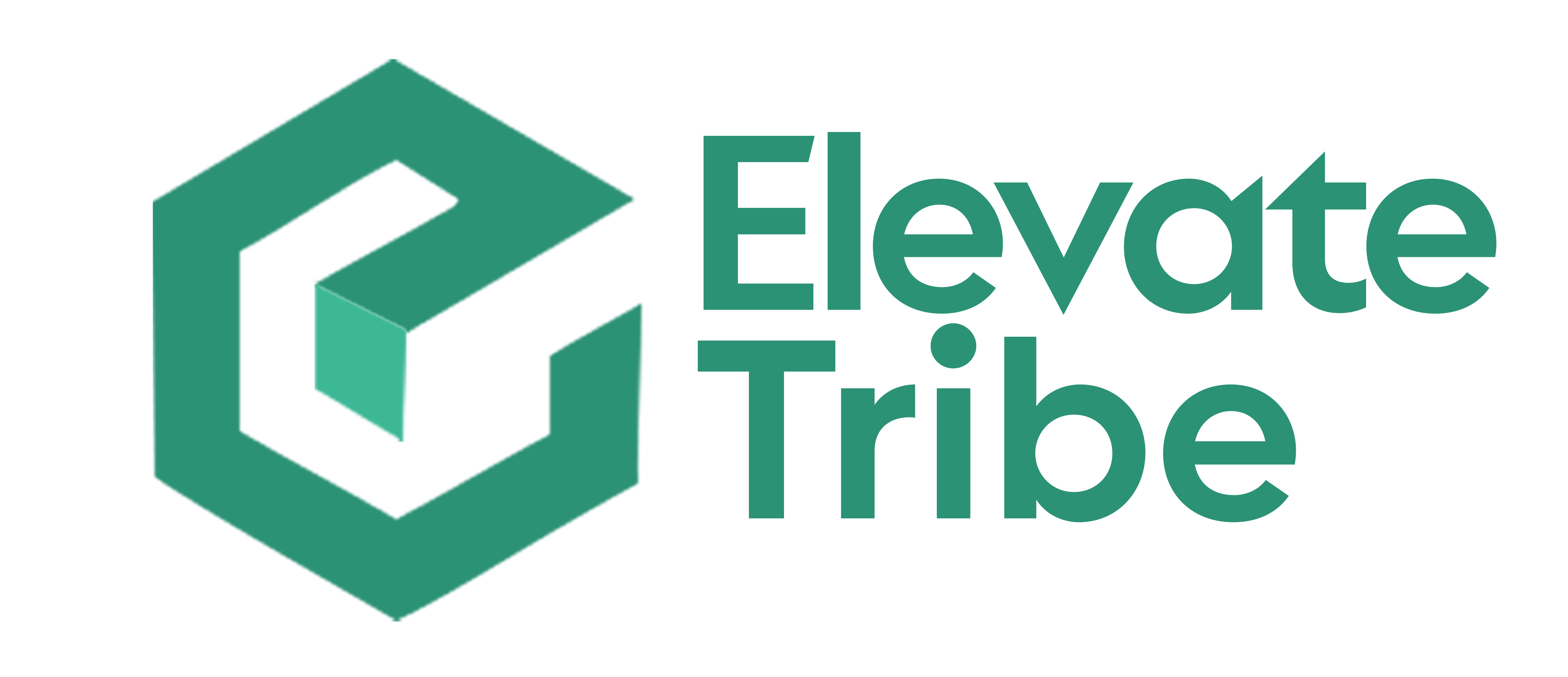 Elevate Tribe Learning